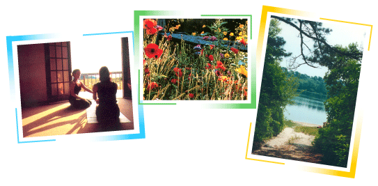 three photos: karin w/student, meadow, nature scene