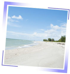 photo of sand dune