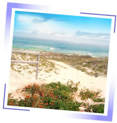 photo of sand dune